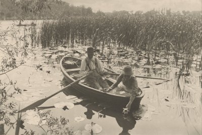 Récolte de nénuphars - Peter Henry Emerson